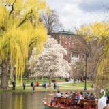 Boston Common & Public Garden