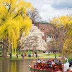 Public Garden