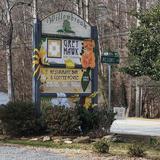Grey Hawk Bar & Gardens (also breakfast/coffee shop)
