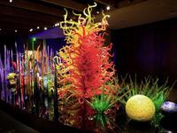 Chihuly Collection