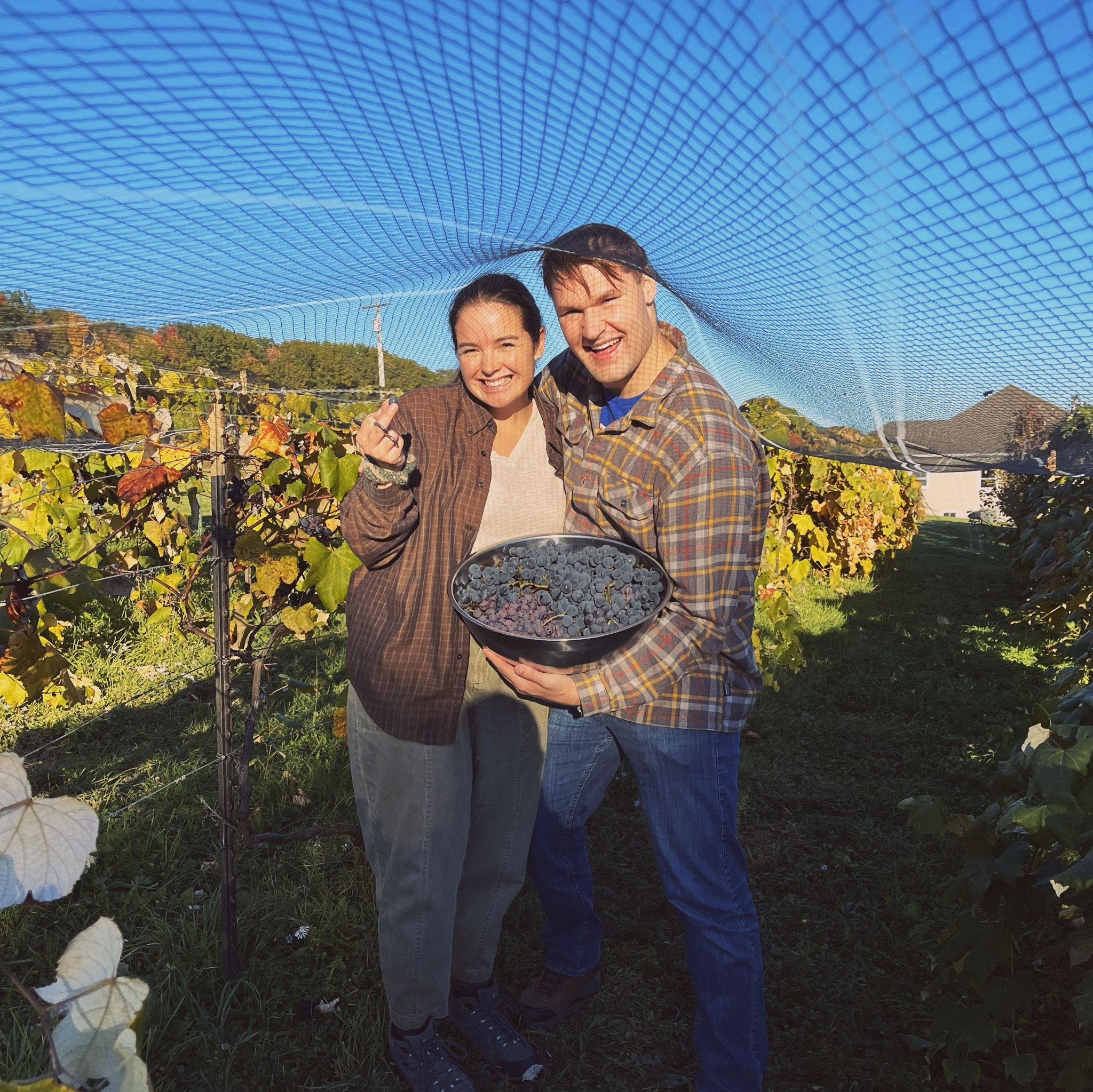 Grape collecting at Uncle Joe & Aunt Barb's!