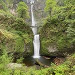 Visit Multnomah Falls