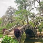 City Park