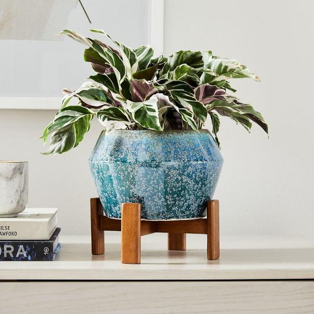 Ilya Tabletop Planter, Small, Reactive Blue, 9in