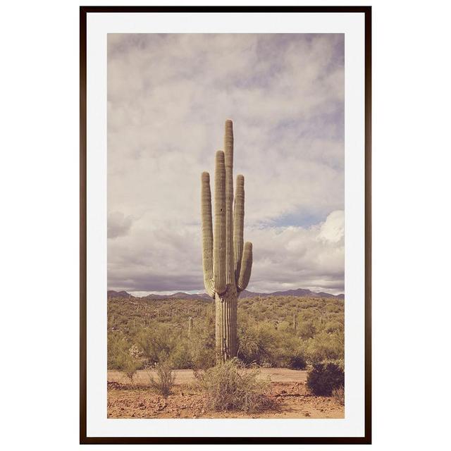 Cactus In Color Framed Print by Jennifer Meyers, 28 x 42 Wood Gallery, Espresso, Mat