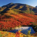 The Adirondacks