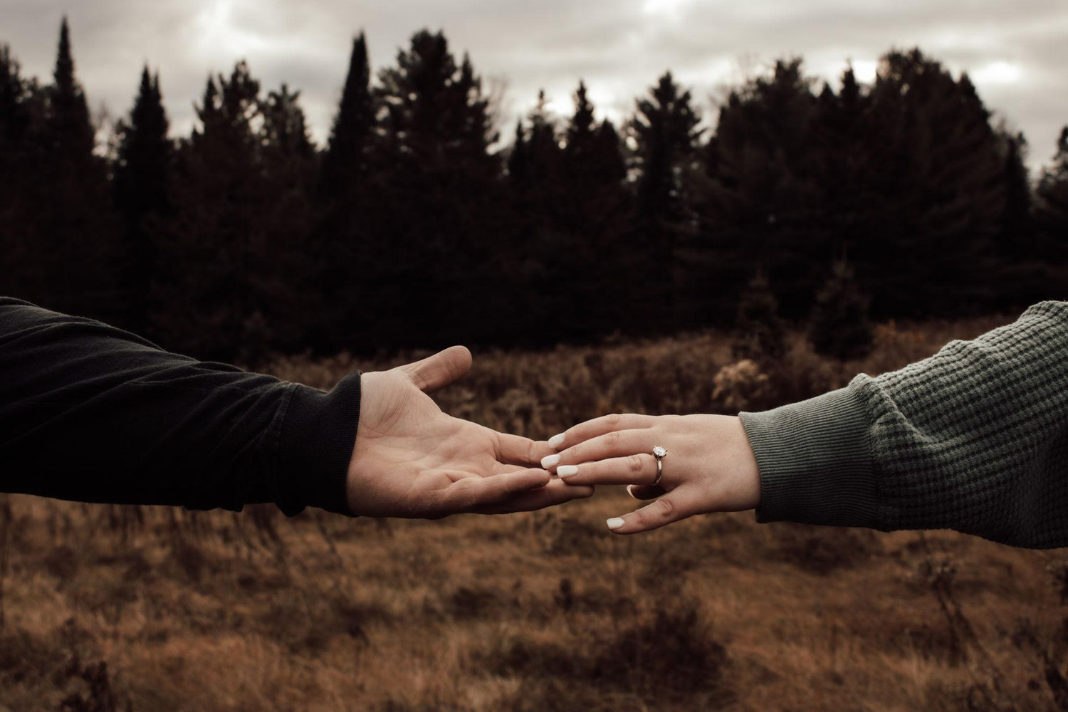 The Wedding Website of Taylor Thomas and Billy Lapointe