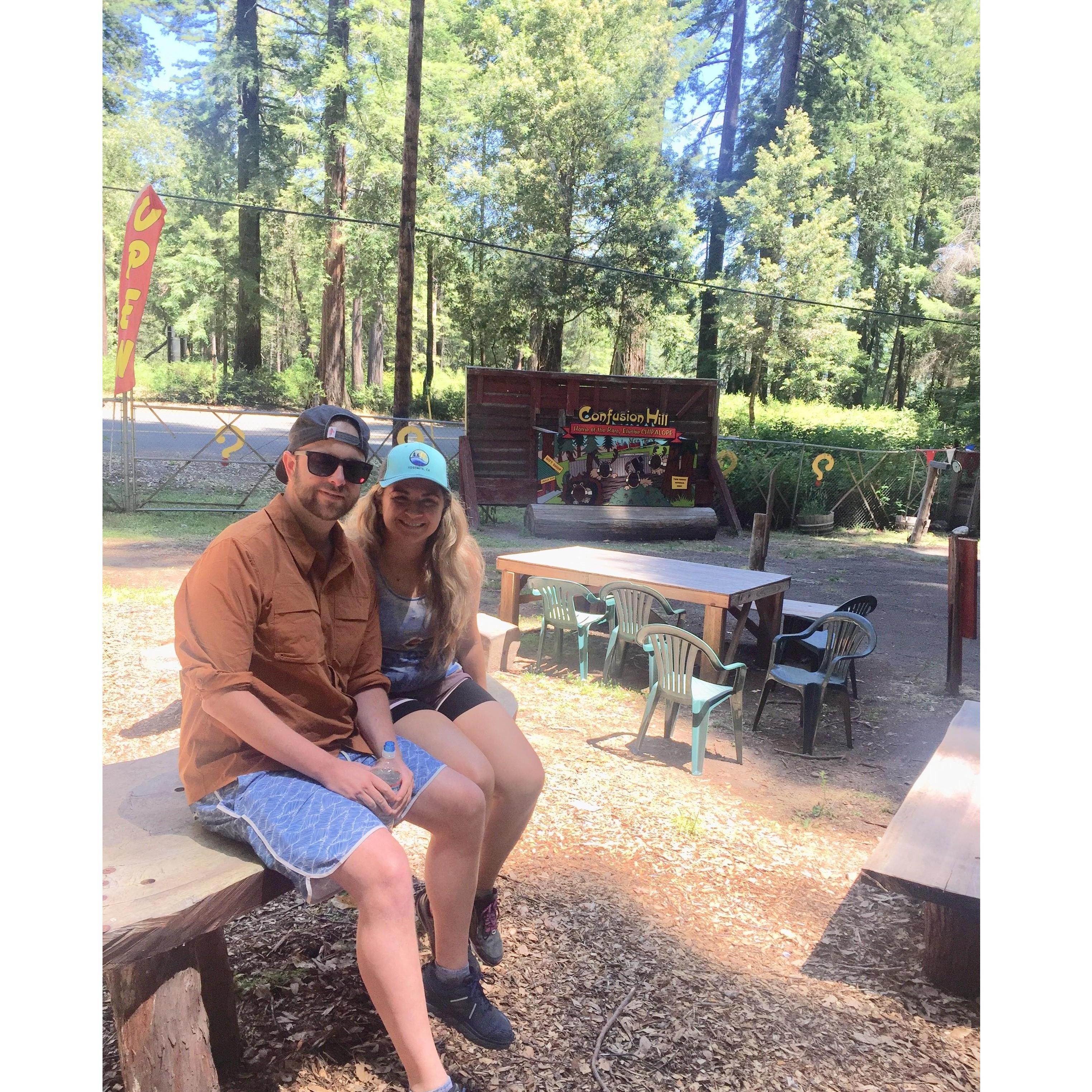 Redwood Forest, California. 4th of July 2018.