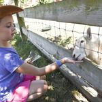 Harbes Family Farm - Mattituck