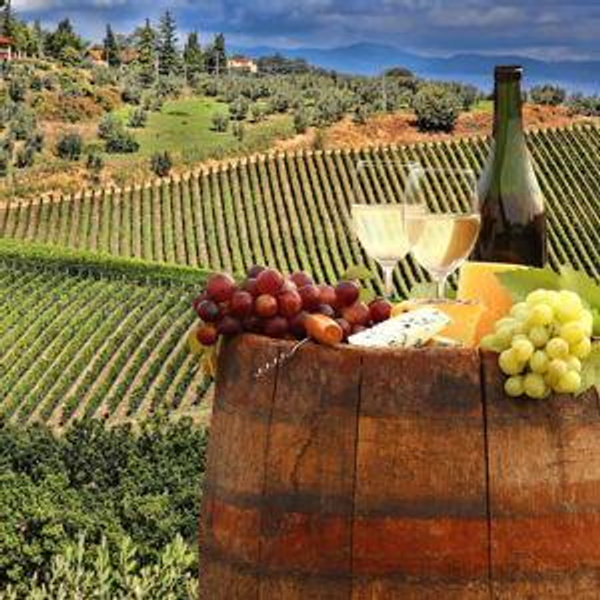 Tuscany Wine Tour Day Trip