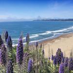 Stinson Beach
