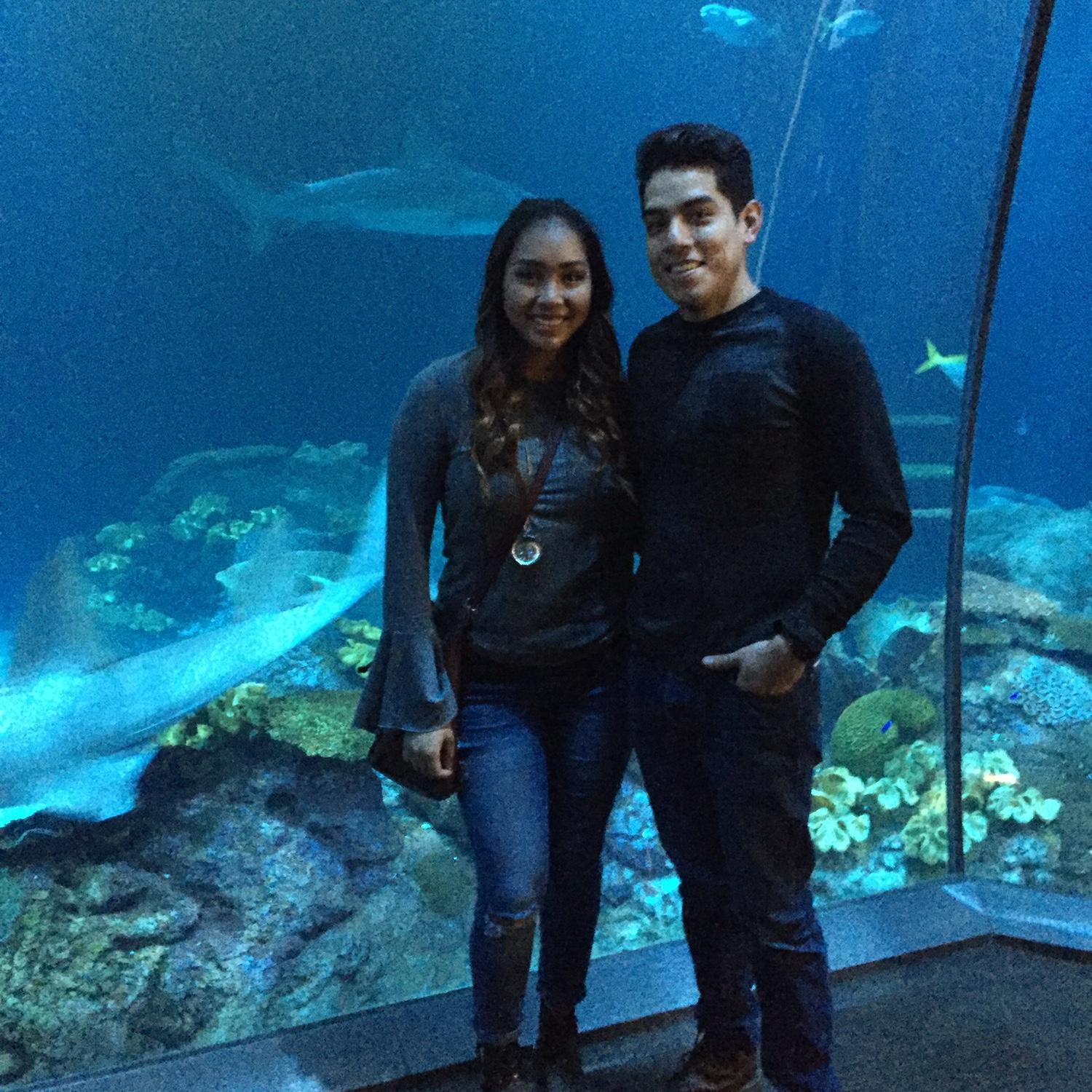 On December 2, 2016, a date at Shedd Aquarium turned into the day Luis asked Catherine to be his girlfriend.