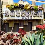 Succulent Cafe