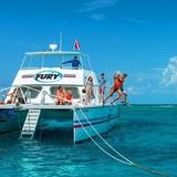 Snorkel Tour