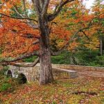 Maudslay State Park