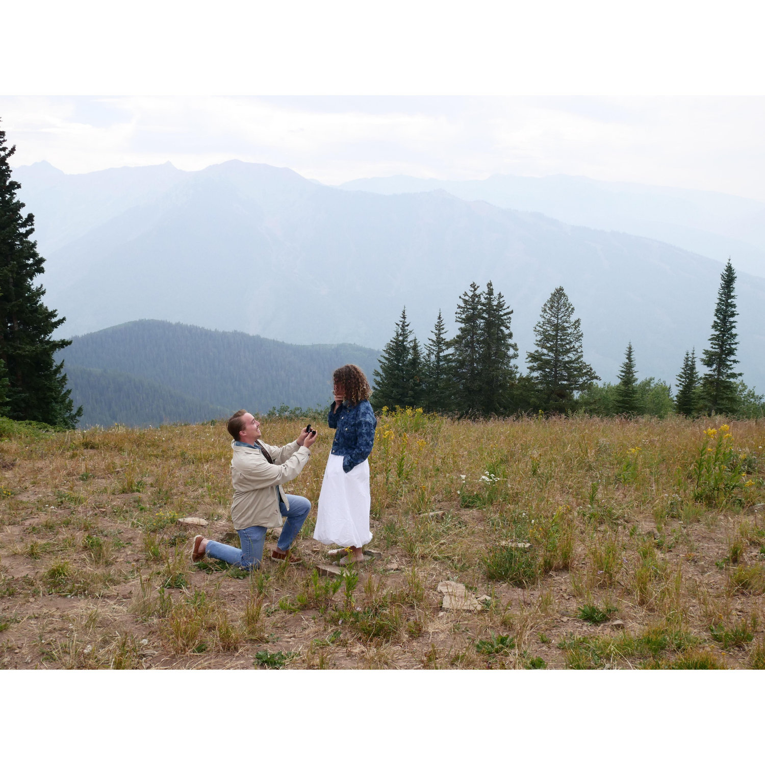 The proposal!