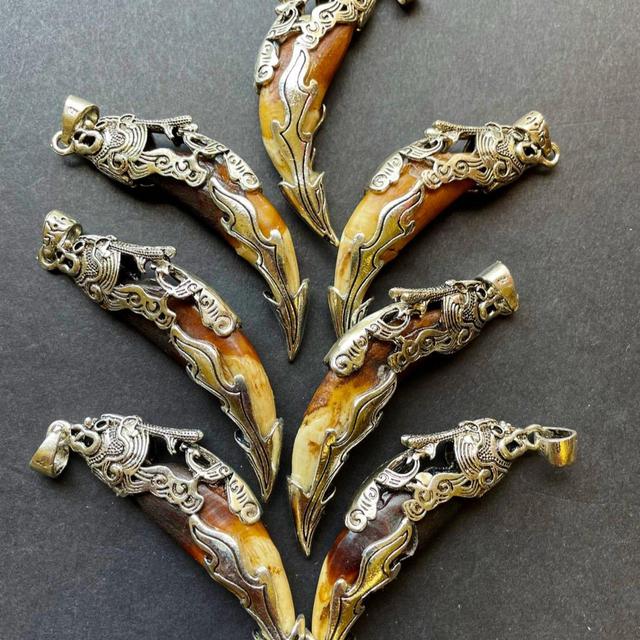 Beautiful wolf teeth pendant. 10x50mm teeth shape pendant. Gorgeous natural brown beige color teeth pendant. With silver plated pendant.