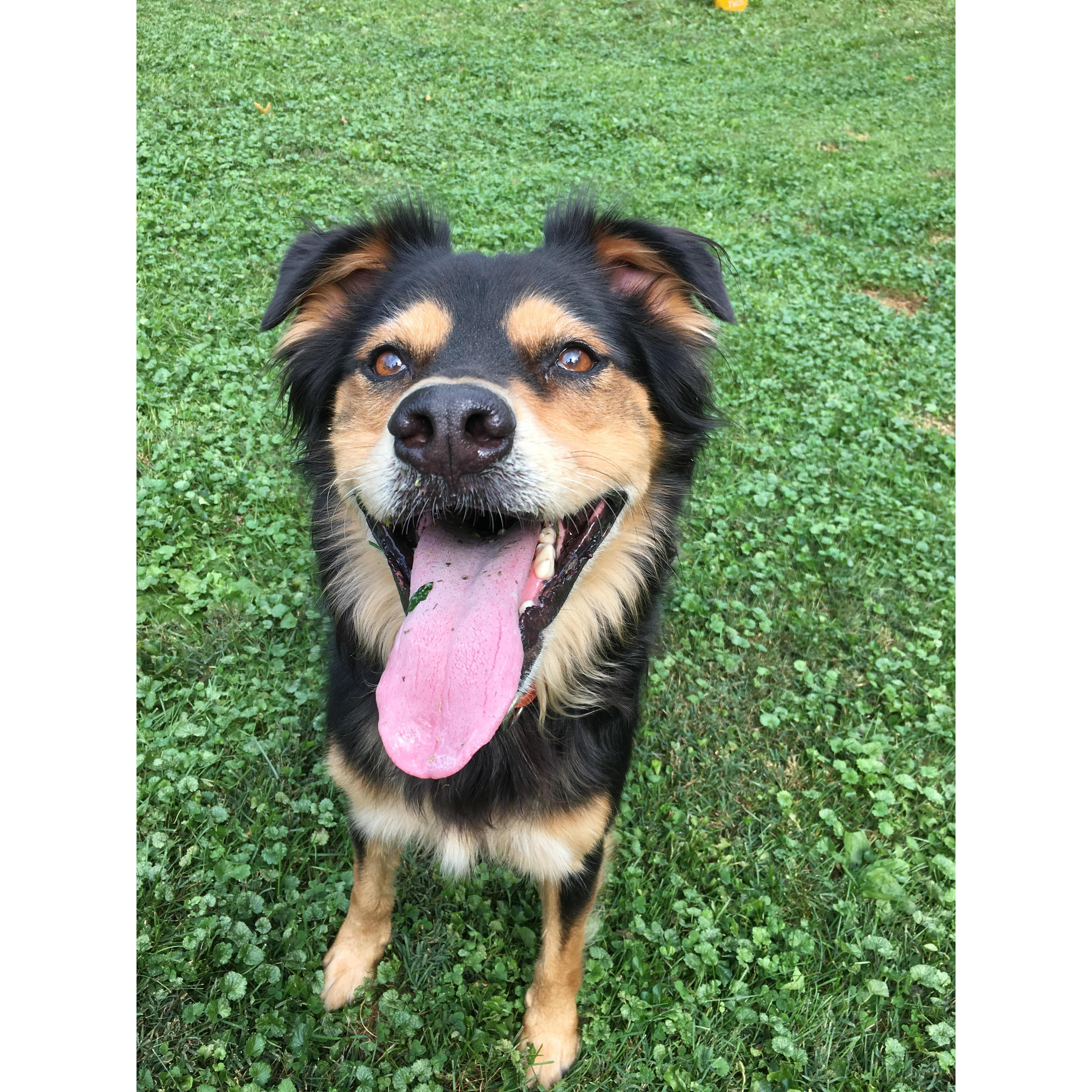 Our ring bearer, MeloDrama