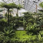 Garfield Park Conservatory