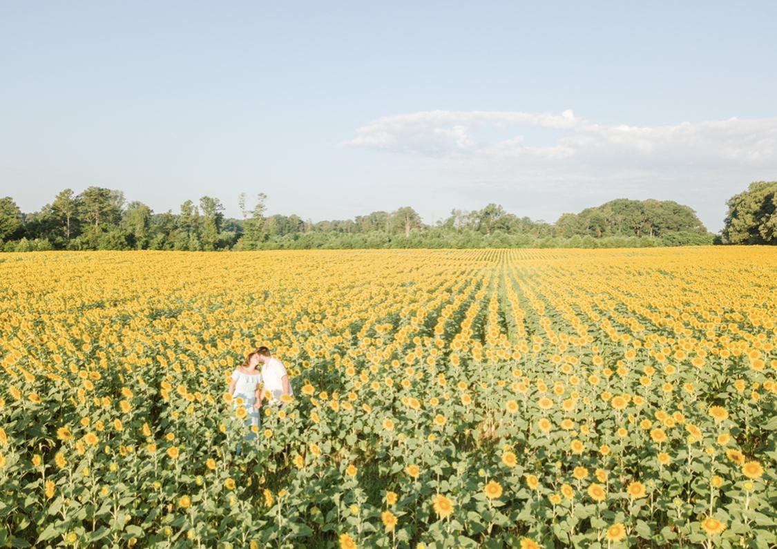 Alvis Farms Sunflower Festival, photo by Michael & Laura Photography.