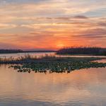 Camp Holly Airboat Rides