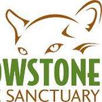 Yellowstone Wildlife Sanctuary