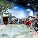 Long Island Aquarium