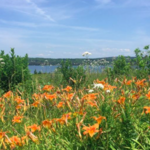 Swim at Scott's Landing Preserve