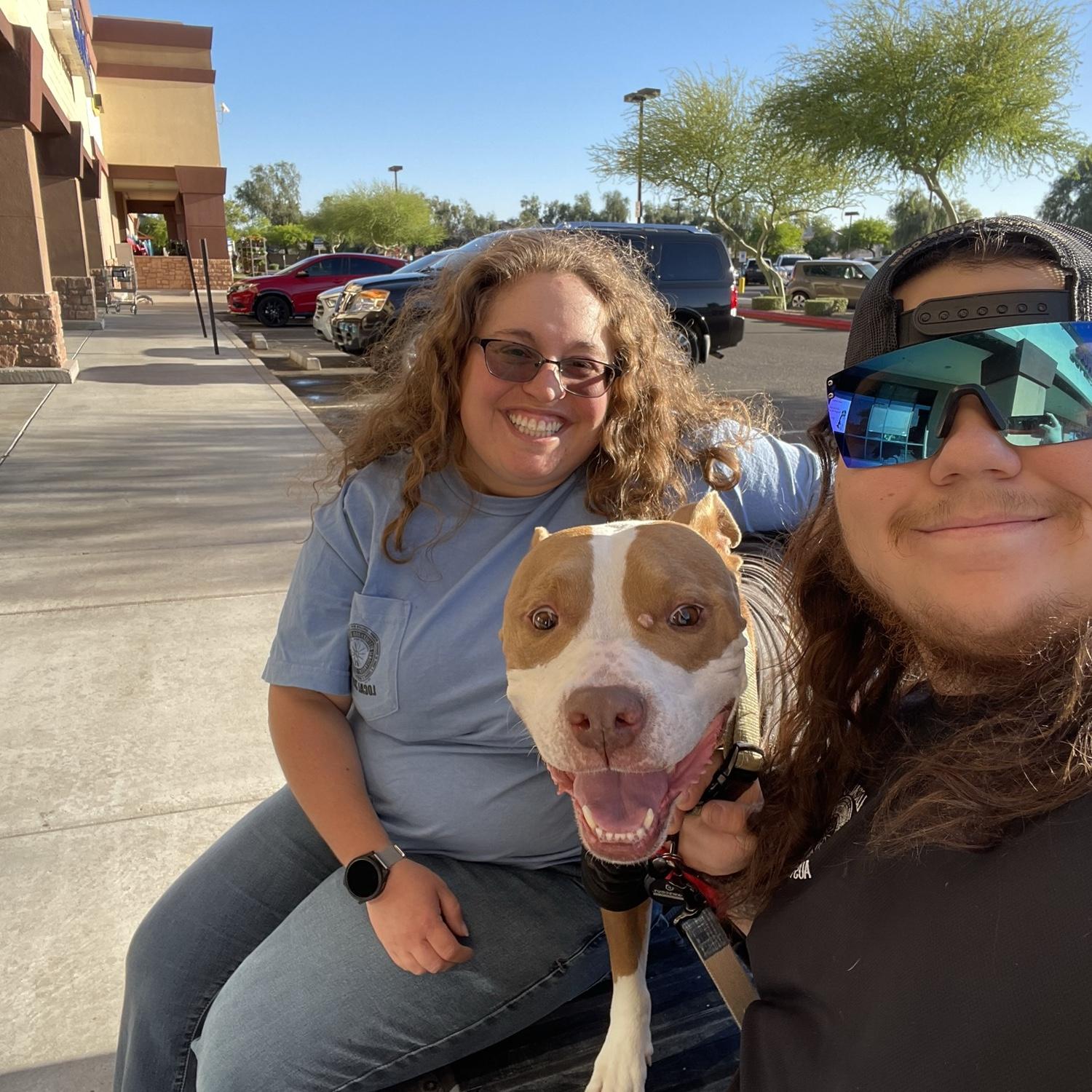 Vet Trip for Diesel