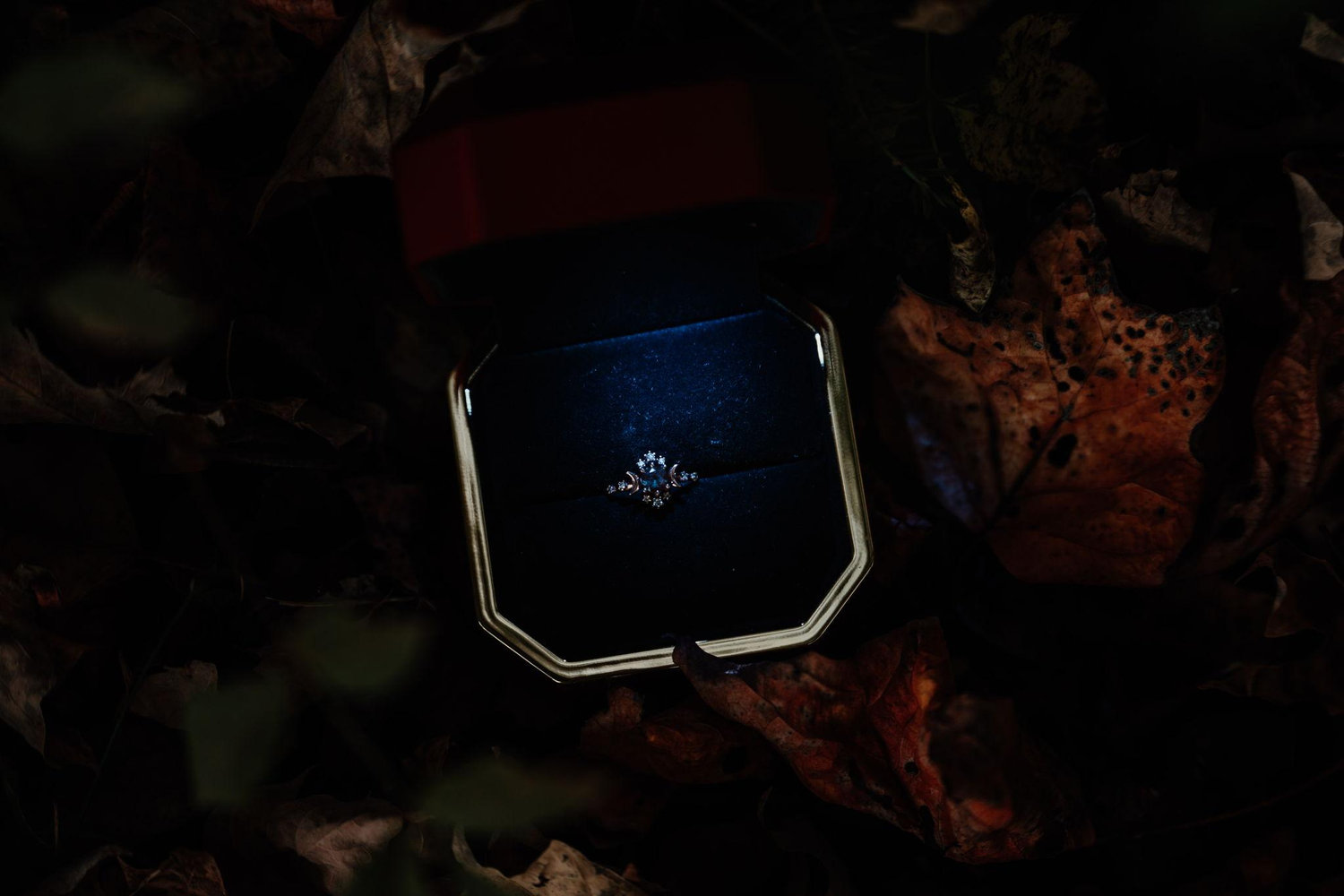 The Wedding Website of Abby Weyls and Ryan Peterson