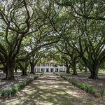 Whitney Plantation Museum