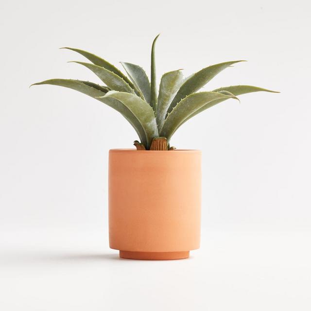Artificial Aloe in Terracotta Pot