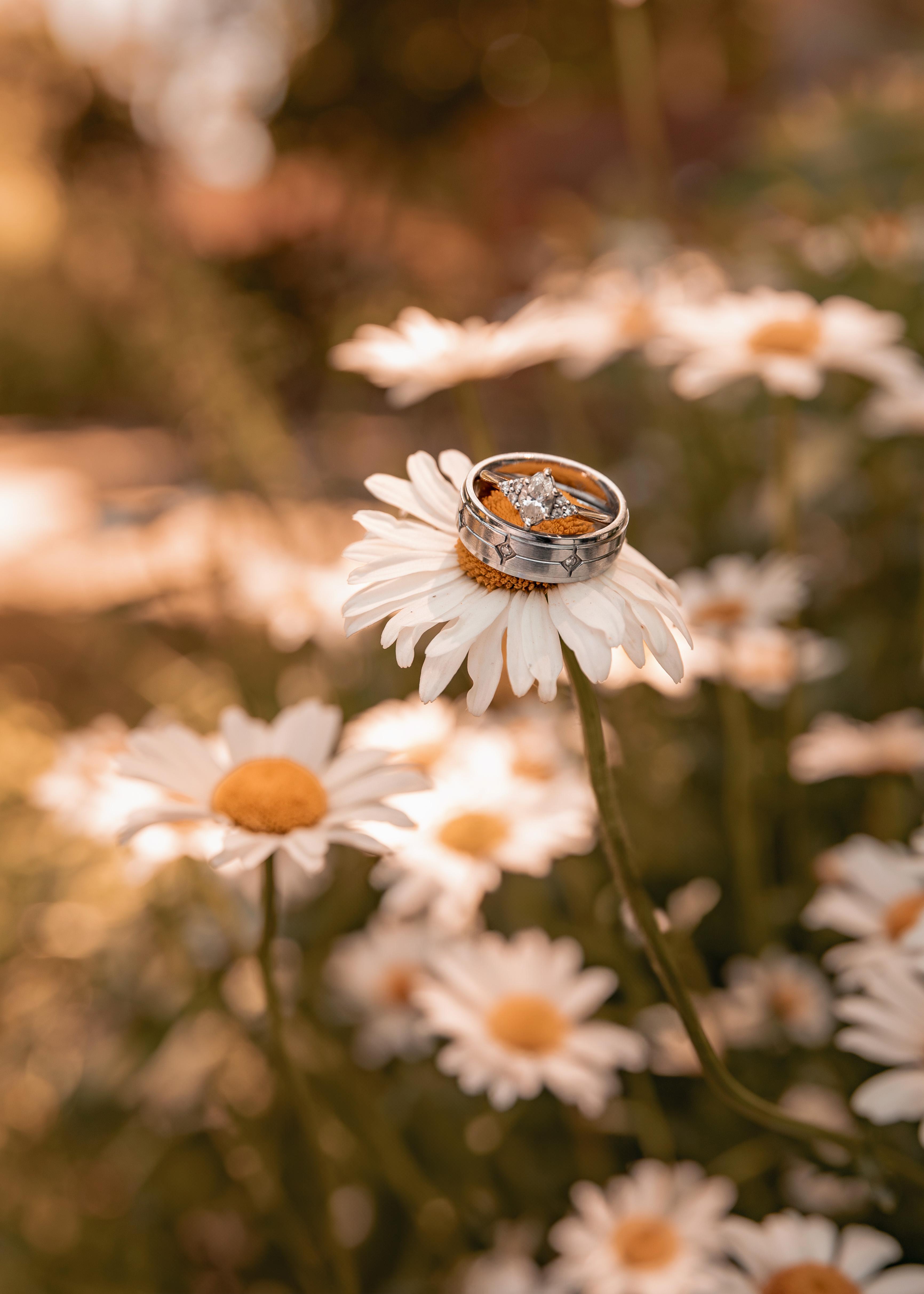 The Wedding Website of Elizabeth Mattson and Evan Neblock