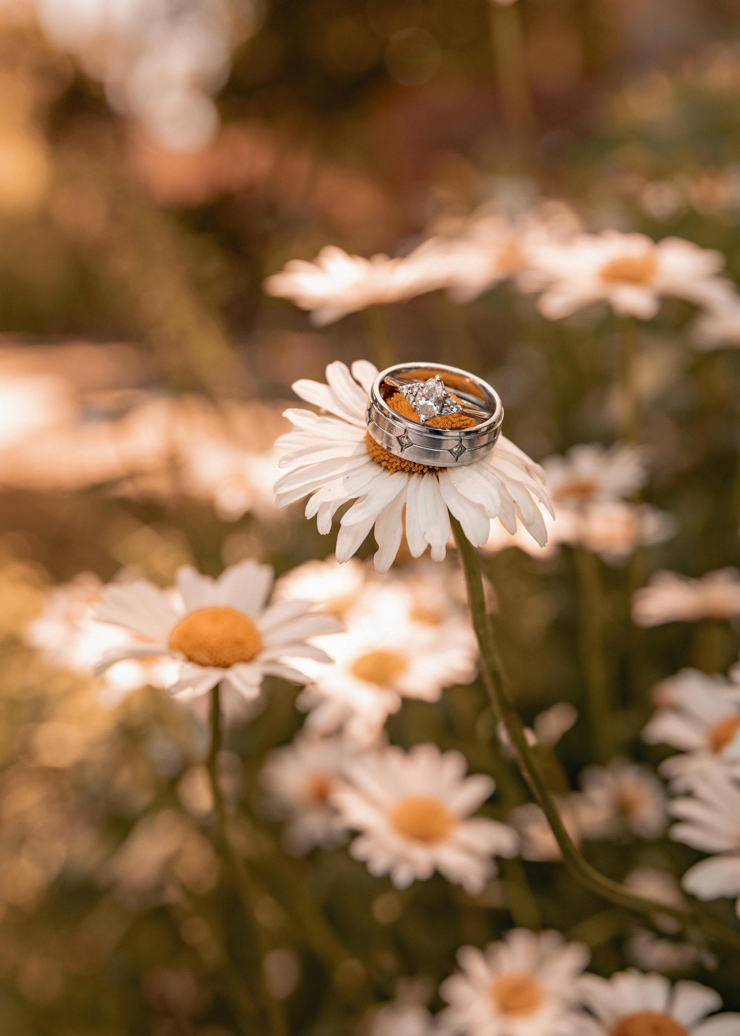 The Wedding Website of Elizabeth Mattson and Evan Neblock