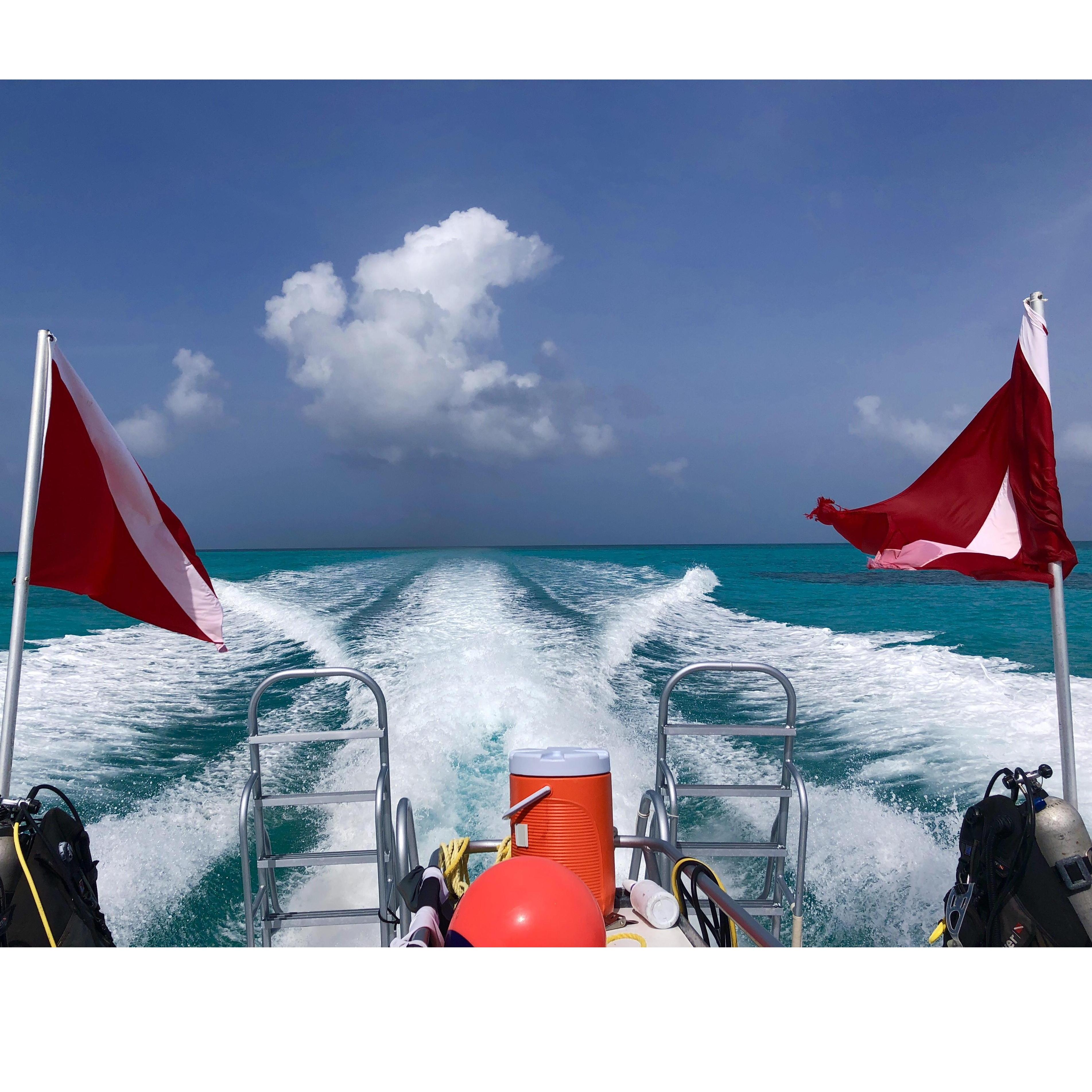 Heading out to dive the Great Blue Hole