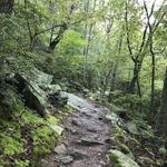 George Washington National Forest