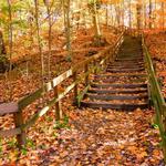 Blendon Woods Metro Park