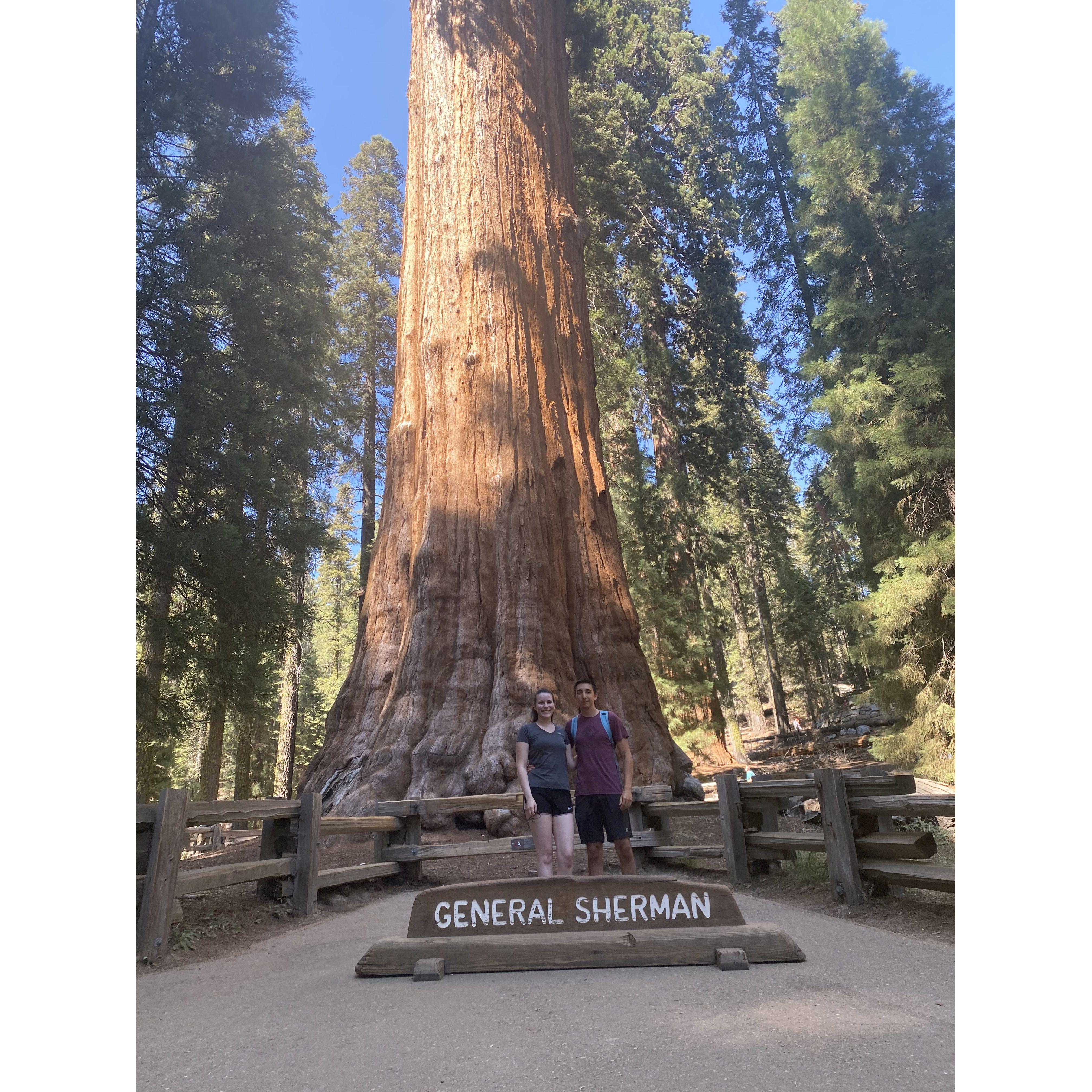 Visiting the Sequioa National Park 2021