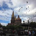 Catedral (Centro)