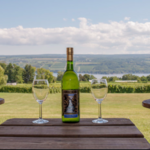 Glenora Wine Cellars