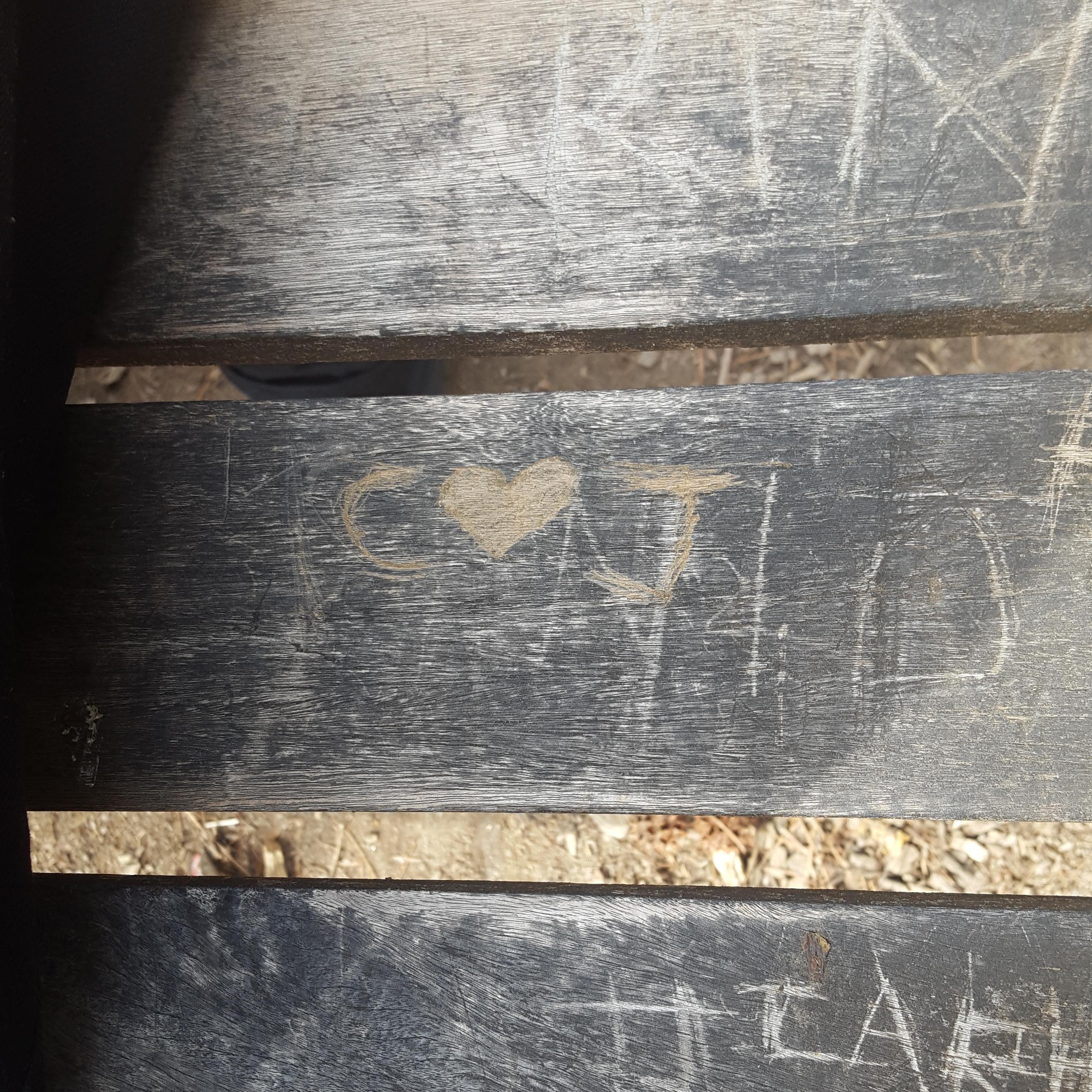 Writing our initials on a bench in Piedmont park.... not to far from where he eventually proposed.