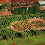 Dole Pineapple Plantation