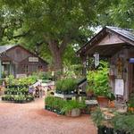 Fredericksburg Herb Farm