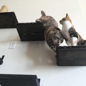 Catastrophic Creations: 12″ Cat Shelf Covered In Plush Fabric