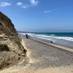 Torrey Pines State Reserve