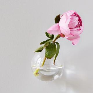 Wall Hanging Sphere Vase