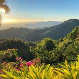 El Yunque Rainforest