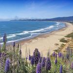 Stinson Beach