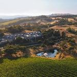 Chalk Hill Estate Vineyards