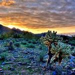 McDowell Sonoran Preserve Gateway Trail